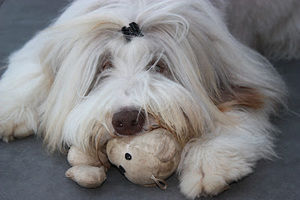 Meet your Posher, Pam